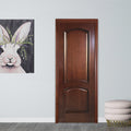 Brown Painted Door for Living Room